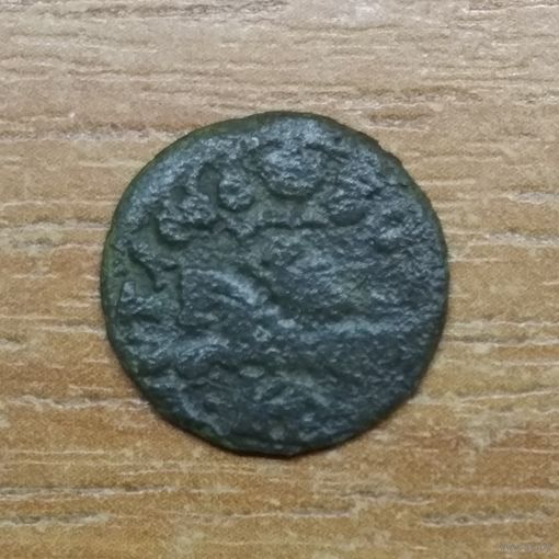 Боратинка 1666 ?
