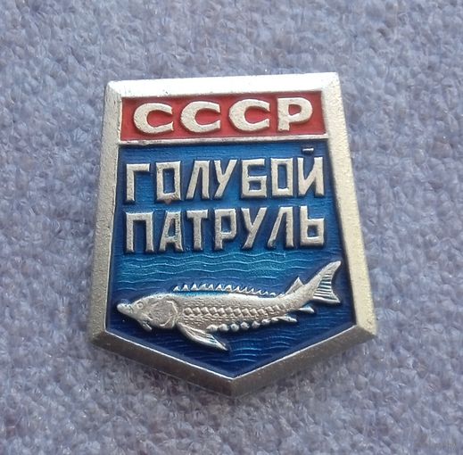 Голубой патруль.