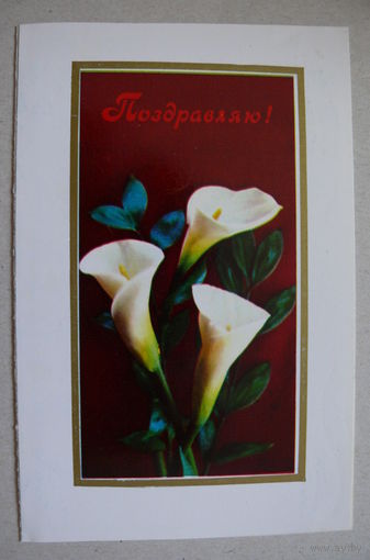 Костенко Г., Поздравляю! 1973, двойная, подписана.