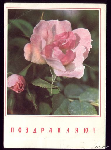 1968 год И.Дергилёв Поздравляю