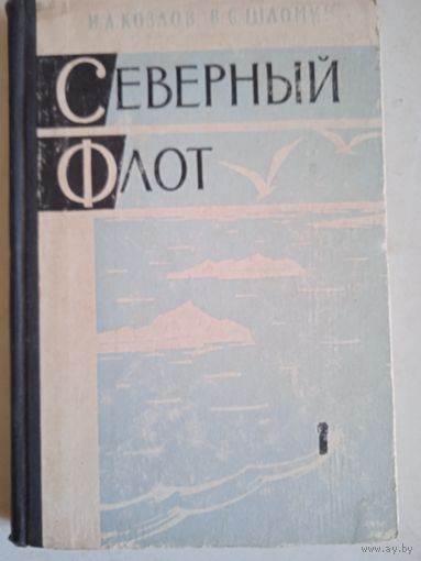 Северный флот