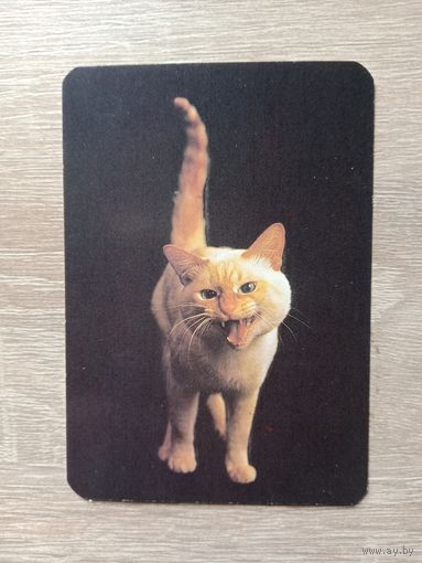 Календарик 1993