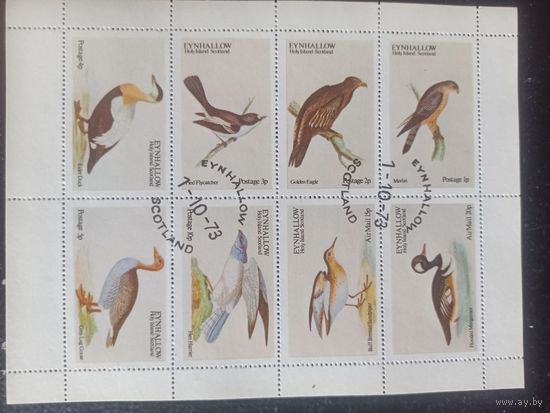 Эйнхаллоу. Водоплавающие птицы. Малый лист