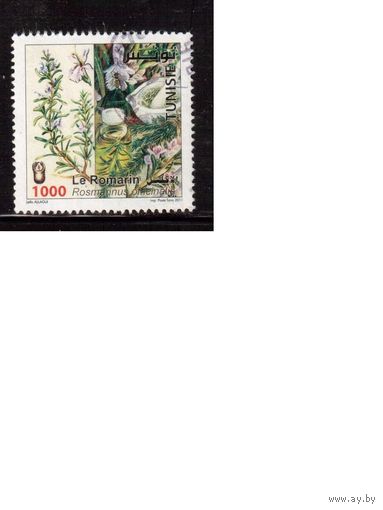 Тунис-2011(Мих.1772) , гаш., Флора, Розмарин