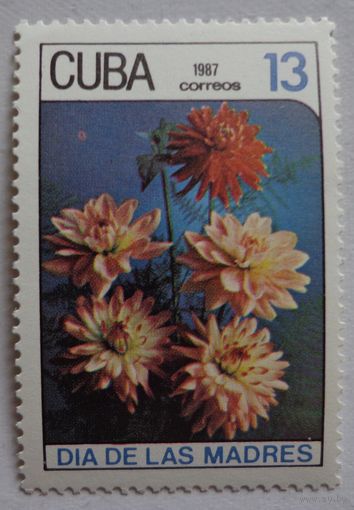 Куба.1987.цветы