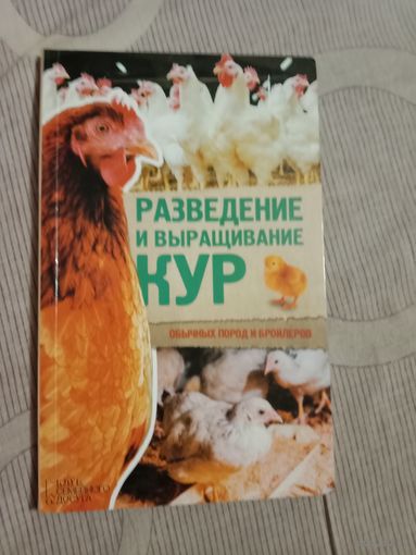 Разведение и выращивание кур обычных пород и бройлеров
