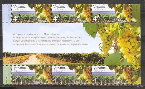 ФФ3 Украина 2011 Виноделие