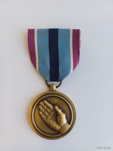 Медаль За гуманитарную службу.