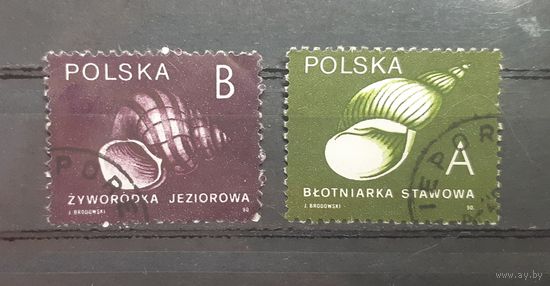 Польша. 1990 год. Фауна. Раковины