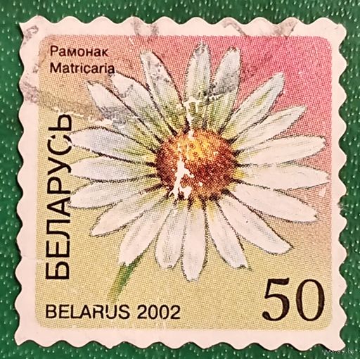 Беларусь 2002. Цветы. Ромашка