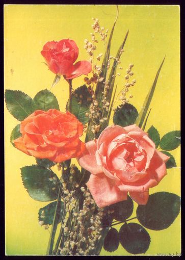 1990 год И.Дергилёв Цветы чист