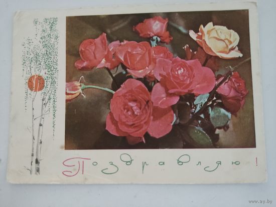 Почтовая карточка "Поздравляю!", художник И.Филтиппов, фото А.Геодакова, 1969г.