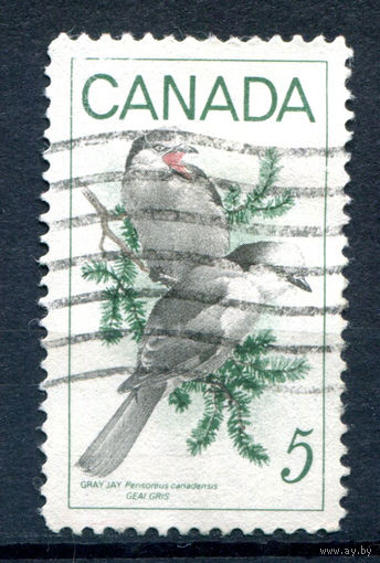 Канада - 1968г. - птицы - 1 марка - полная серия, гашёная [Mi 419]. #3-WB-92-A-1