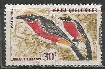 Нигер(Республика). Певчие сорокопуты. 1967г. Mi#151.