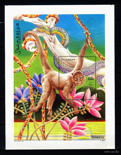 2002 Сомали. Обезьяны