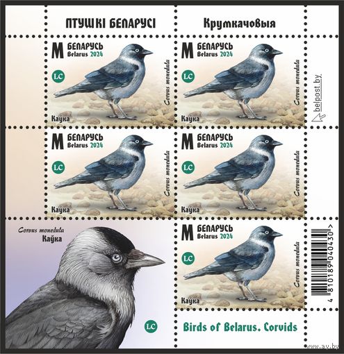 2024г Беларусь MNH Малый лист "Птицы Беларуси. Врановые"