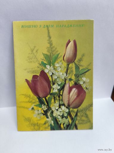 Открытка, 1992г. Виншую з Днём нараджэння. Фото И. Дергилева. 14