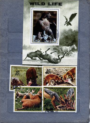 КНДР, 1984, ХИЩНИКИ, серия 4м, + блок, гашен