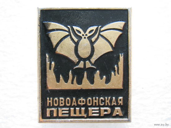 Новоафонская пещера, летучая мышь.