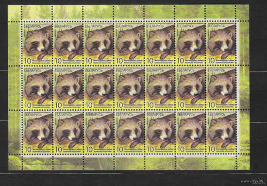 Беларусь лист марок 10 рублей заказ No 91-2011 фауна MNH** (5-9)