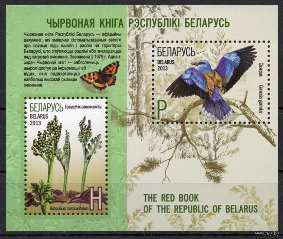 Беларусь 2013. Красная книга РБ. Птица Сизоворонка. Блок 90 (638)