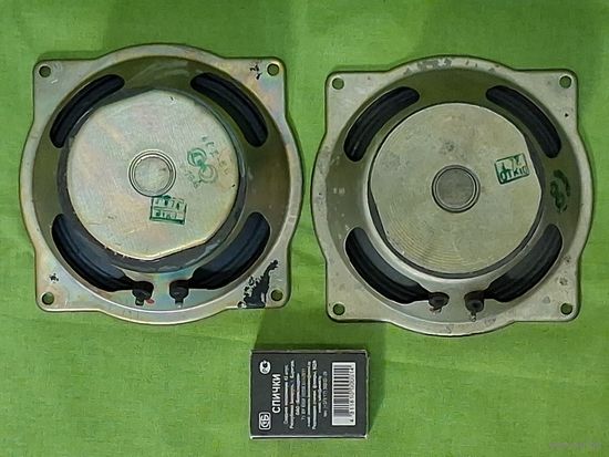 Динамики 4ГД-8Е