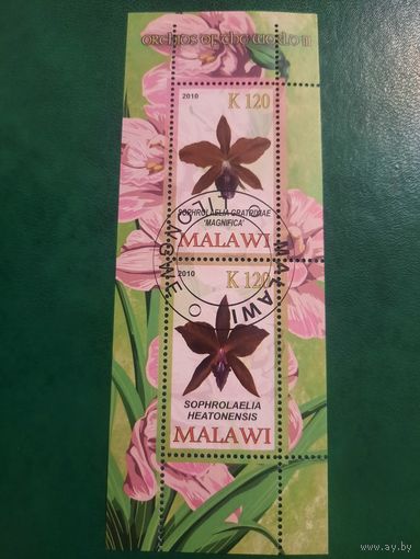 Малави 2010. Флора. Цветы. Орхидеи. Блок