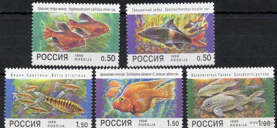 Россия 1998. Фауна. Аквариумные рыбы. 5 марок 425-29 (220)