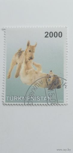 Туркменистан 1998. Собаки