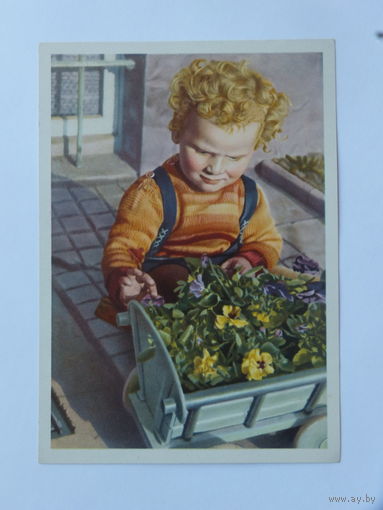 Открытка Германия 1955  10х15 см