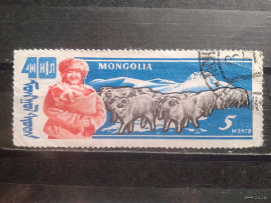 Монголия, 1961. 40 лет Победы Народной Республики, животноводство
