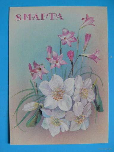 Панкин В., 8 Марта, 1987, чистая.