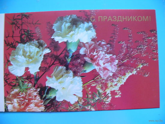 Зеленова В.(фото), С праздником! 1989, двойная, чистая.