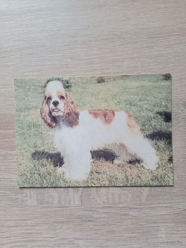 Календарик 1993