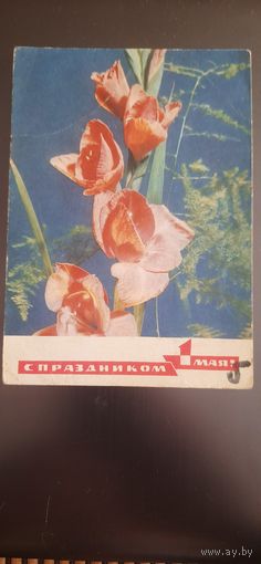 СССР. 1 Мая! 1970г. чистая