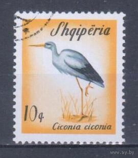 [125] Албания 1965. Фауна.Птицы.Аист. Гашеная марка.