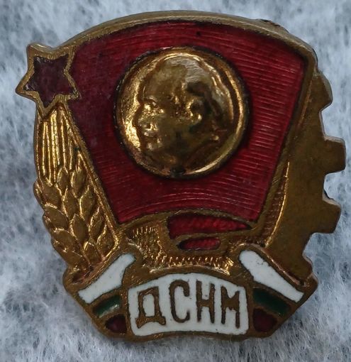 Значок ДСНМ