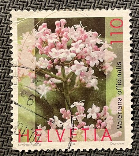 ЦІКАВІЦЬ АБМЕН! 2003, Valeriana officinalis (110)