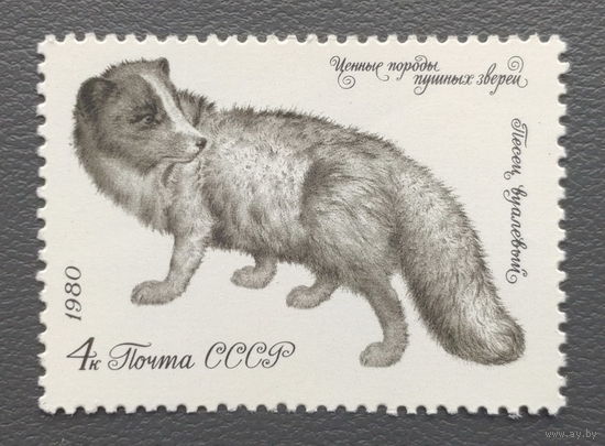 СССР.1980.Пушные звери, песец (1 марка, чистая)