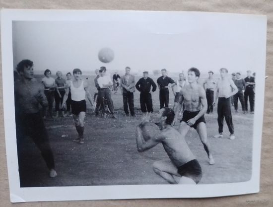 Фото Целина