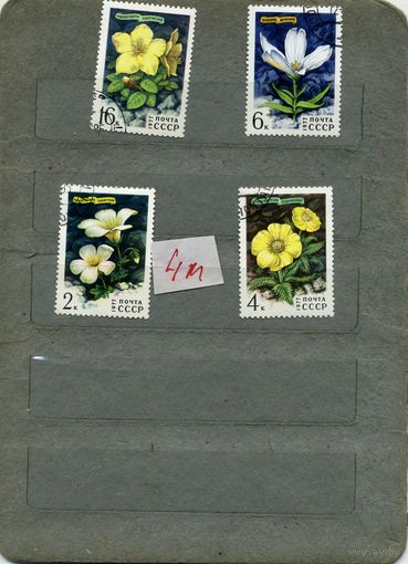 СССР, 1977, ЦВЕТЫ гор сибири , 4м  гашен