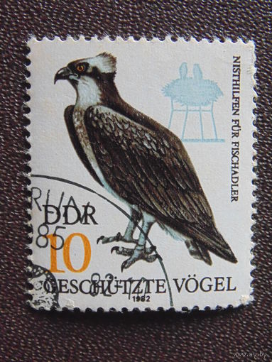 Германия 1982 г. Птицы.