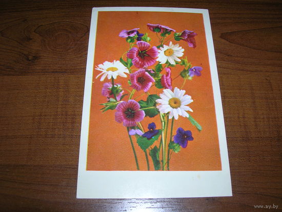 Цветы Поздравляю 1976 год чистая