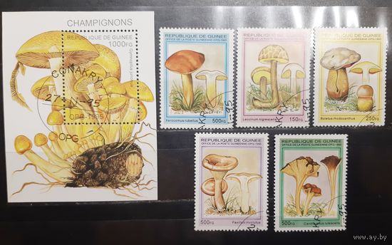 Республика Гвинея. 1995 год. Флора. Грибы. Блок и 5 марок (986)