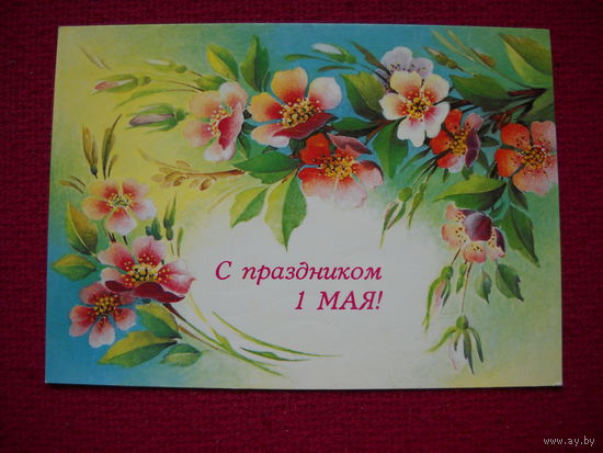 С Праздником 1 Мая! Похитонова. 1988 г.