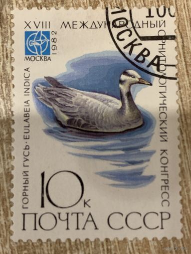 СССР 1982. Горный гусь. Марка из серии