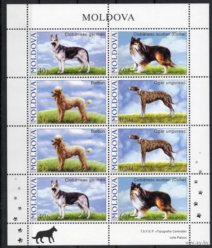 Молдова 2006. Фауна. Собаки малый лист (274)