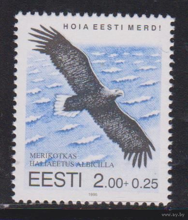 Эстония 1995. Фауна. Птица Орлан белохвост. Mi 258. St EE95/14. MNH **