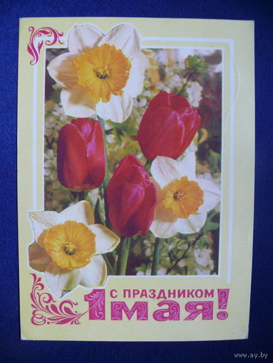 Фото Костенко Г., Художник Гордеев В., С праздником 1 мая, 1977, подписана.
