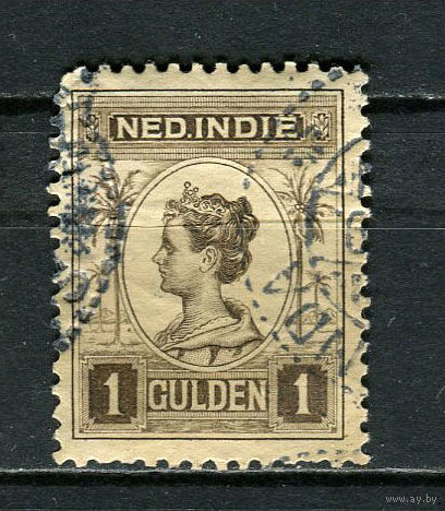 Нидерландская Индия - 1913/1914 - Королева Вильгельмина 1G - (есть надрыв) - [Mi.123] - 1 марка. Гашеная.  (Лот 20Js)-T25P1
